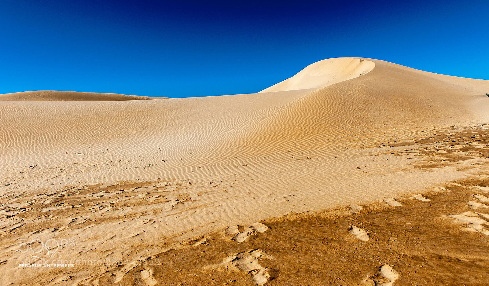 Nikon D700 sample photo. Sand dunes photography