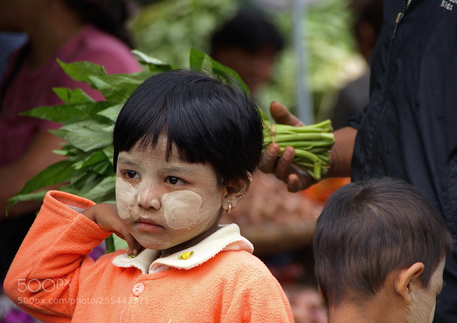Sony Alpha DSLR-A300 sample photo. Burma road photography