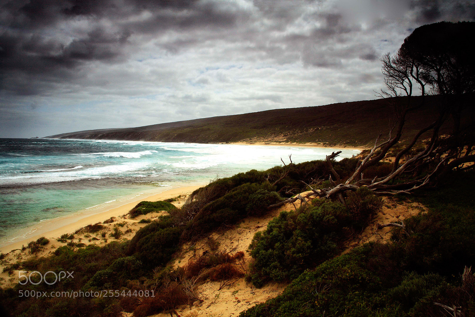 Canon EOS 5D sample photo. Cape to cape, sw photography