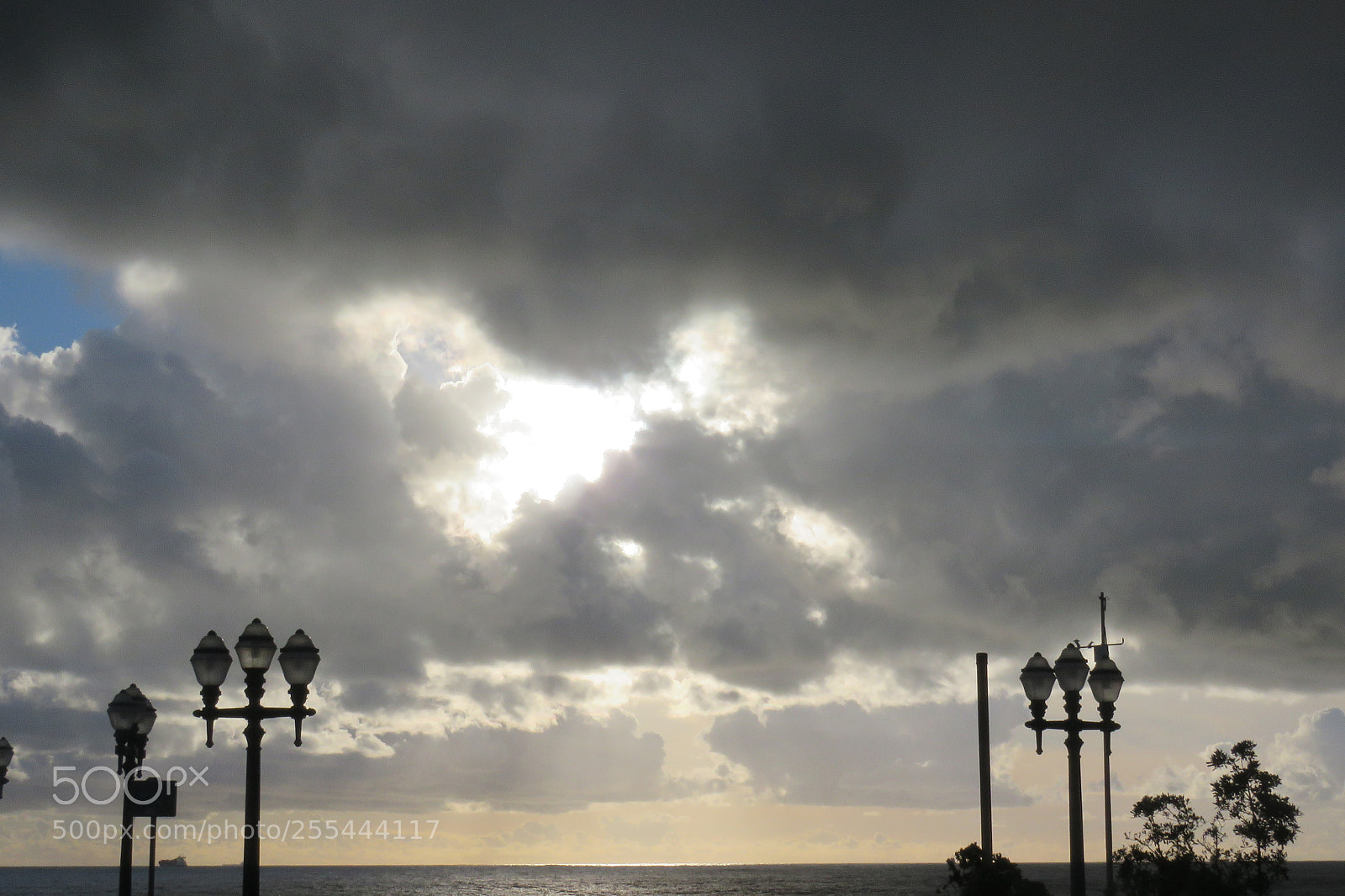 Canon PowerShot SX60 HS sample photo. Will rain photography