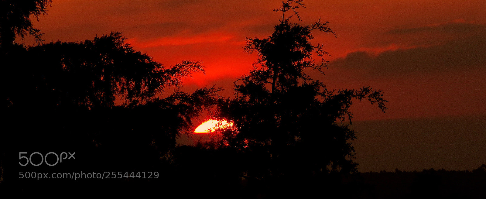 Canon PowerShot SX60 HS sample photo. Hot sunset ... photography