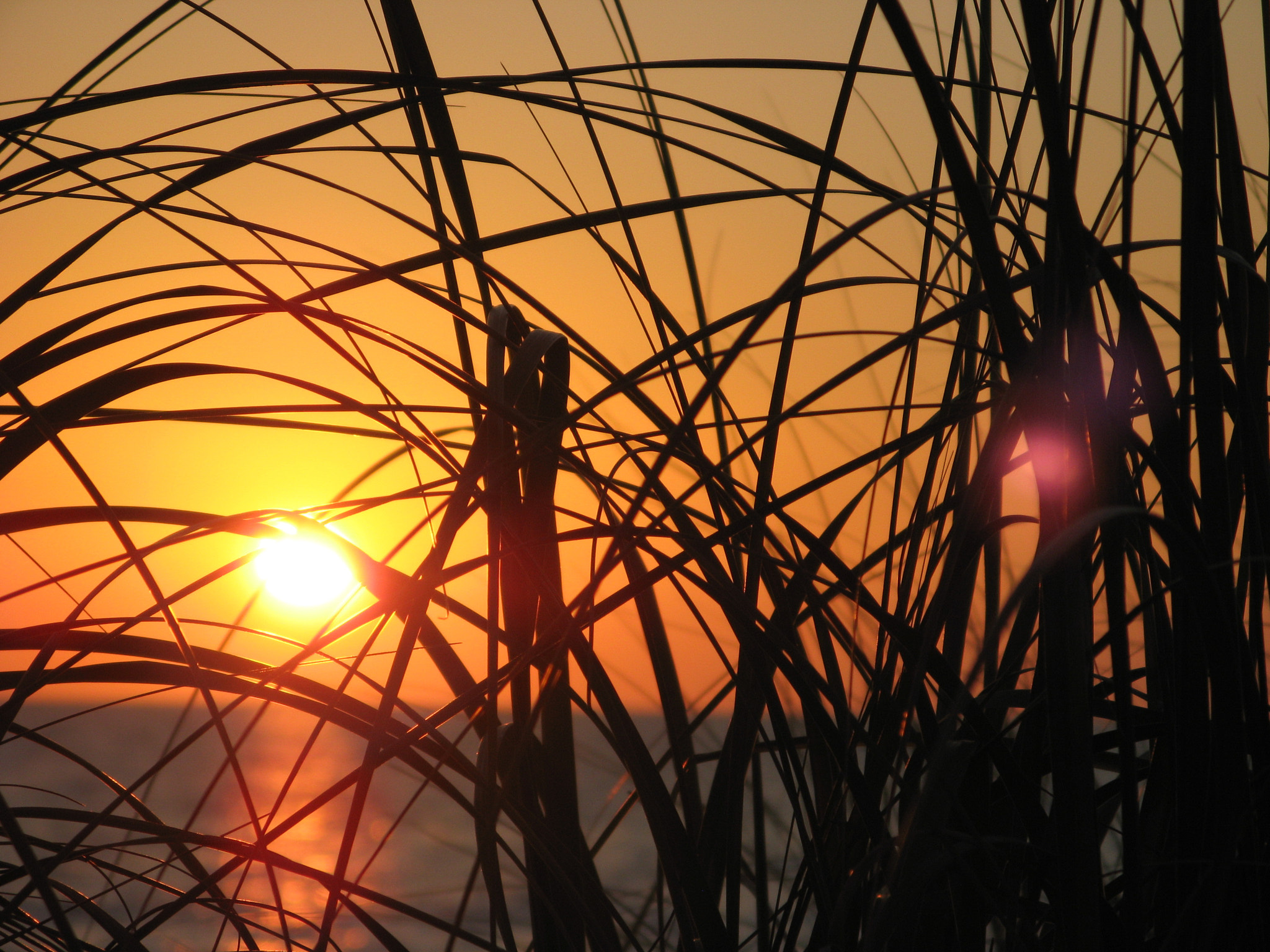 Canon POWERSHOT A710 IS sample photo. Setting sun over the mexican gulf, anna maria. photography