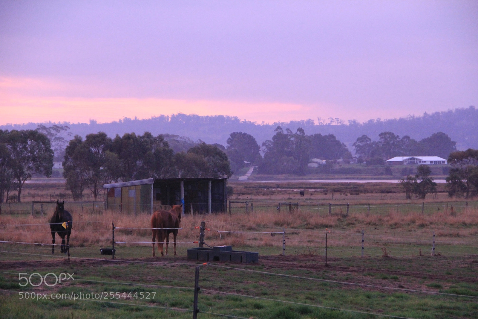 Canon EOS 60D sample photo. Purple sunset photography