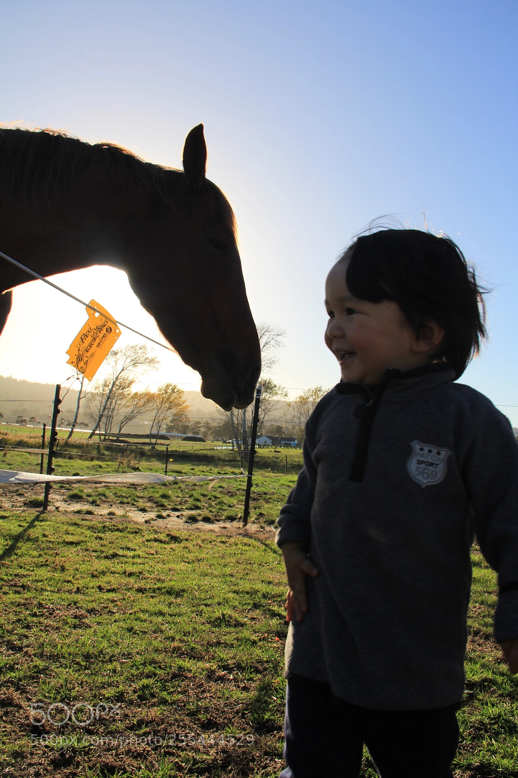 Canon EOS 60D sample photo. Joy photography