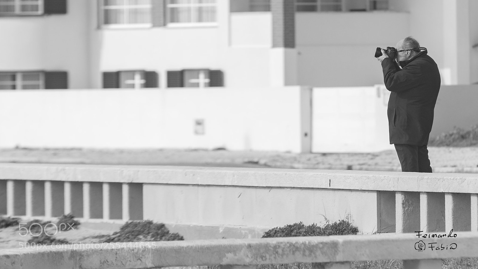 Nikon D800 sample photo. Humans project ... photography