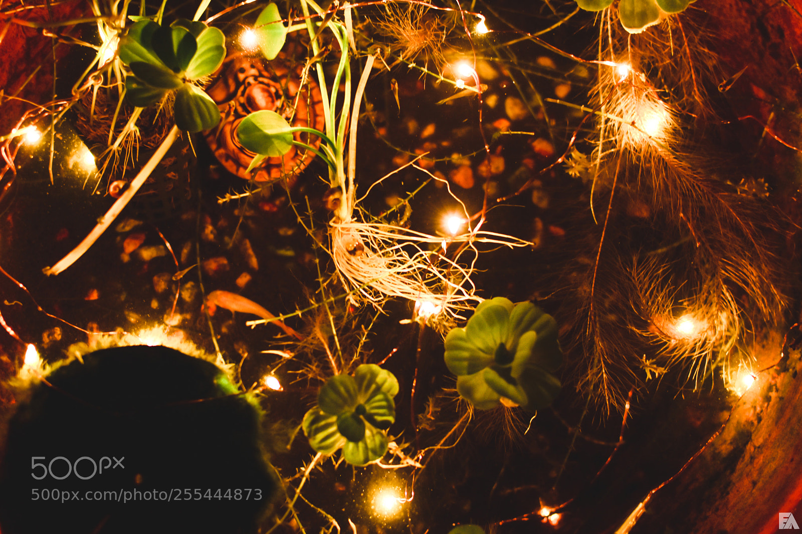 Nikon D5600 sample photo. World photography