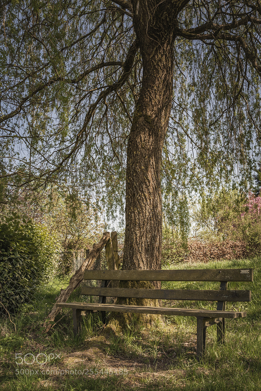 Canon EOS 5D Mark II sample photo. Dabringhausen photography