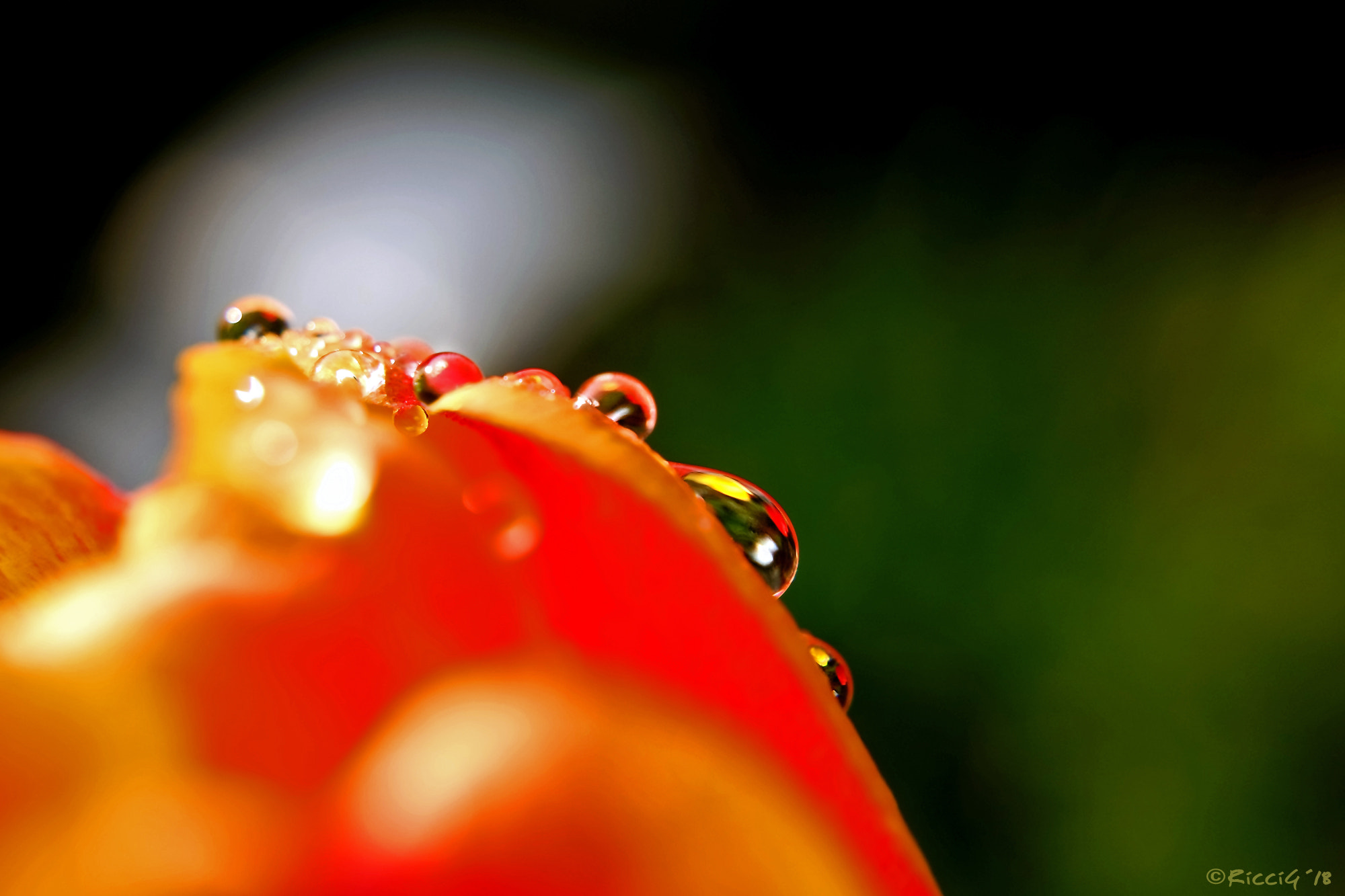 Samsung NX3300 sample photo. Droplets photography