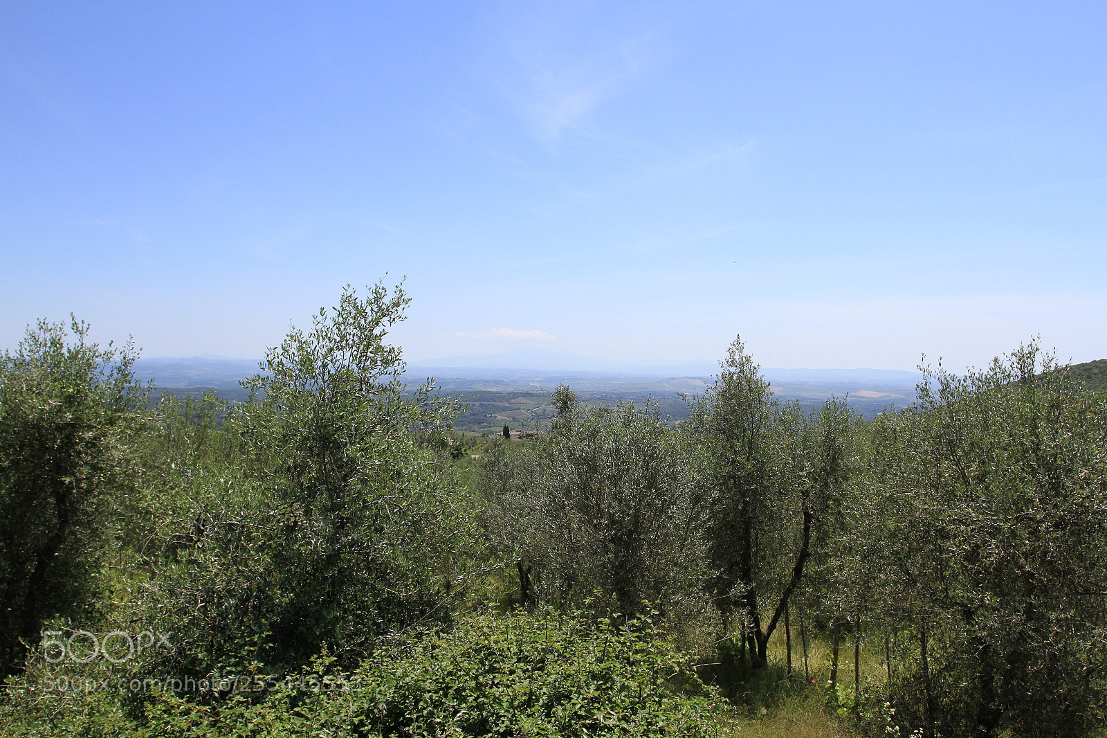 Canon EOS 7D sample photo. Trip to tuscany, italy photography