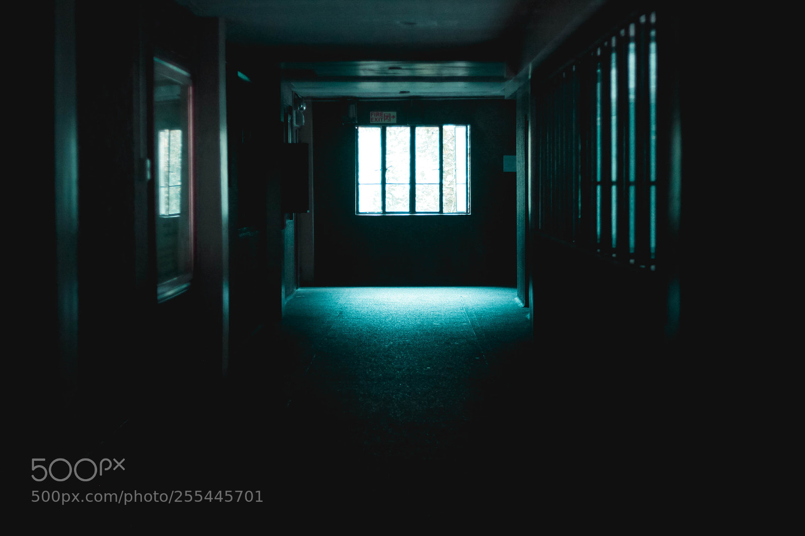 Canon EOS 50D sample photo. Hallway madness photography