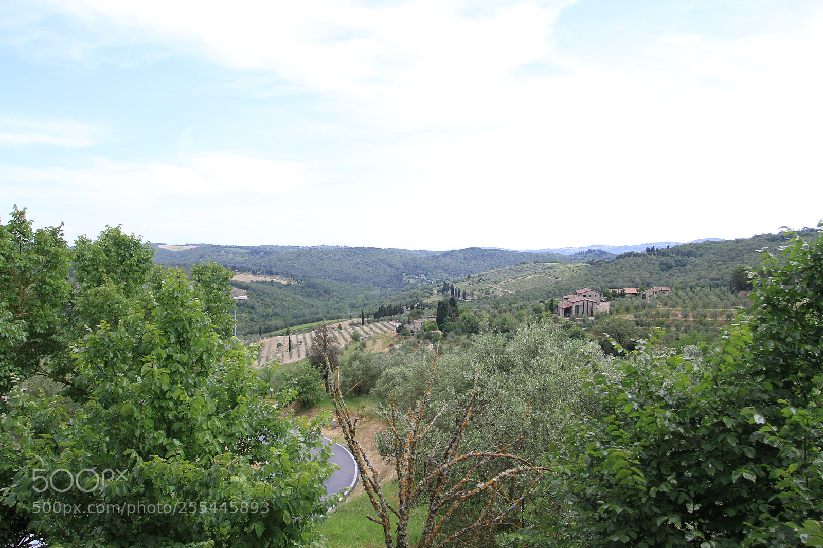Canon EOS 7D sample photo. Tuscany june o photography