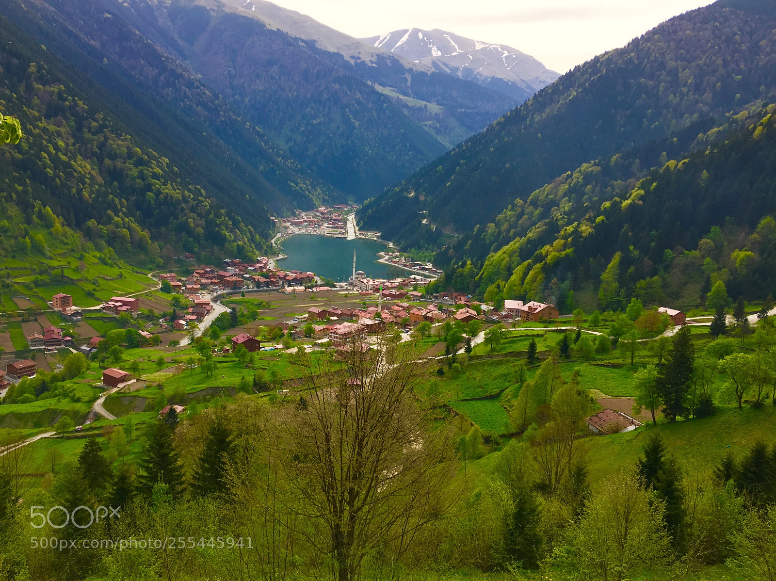 Apple iPhone 6s Plus sample photo. Uzungöl / trabzon photography