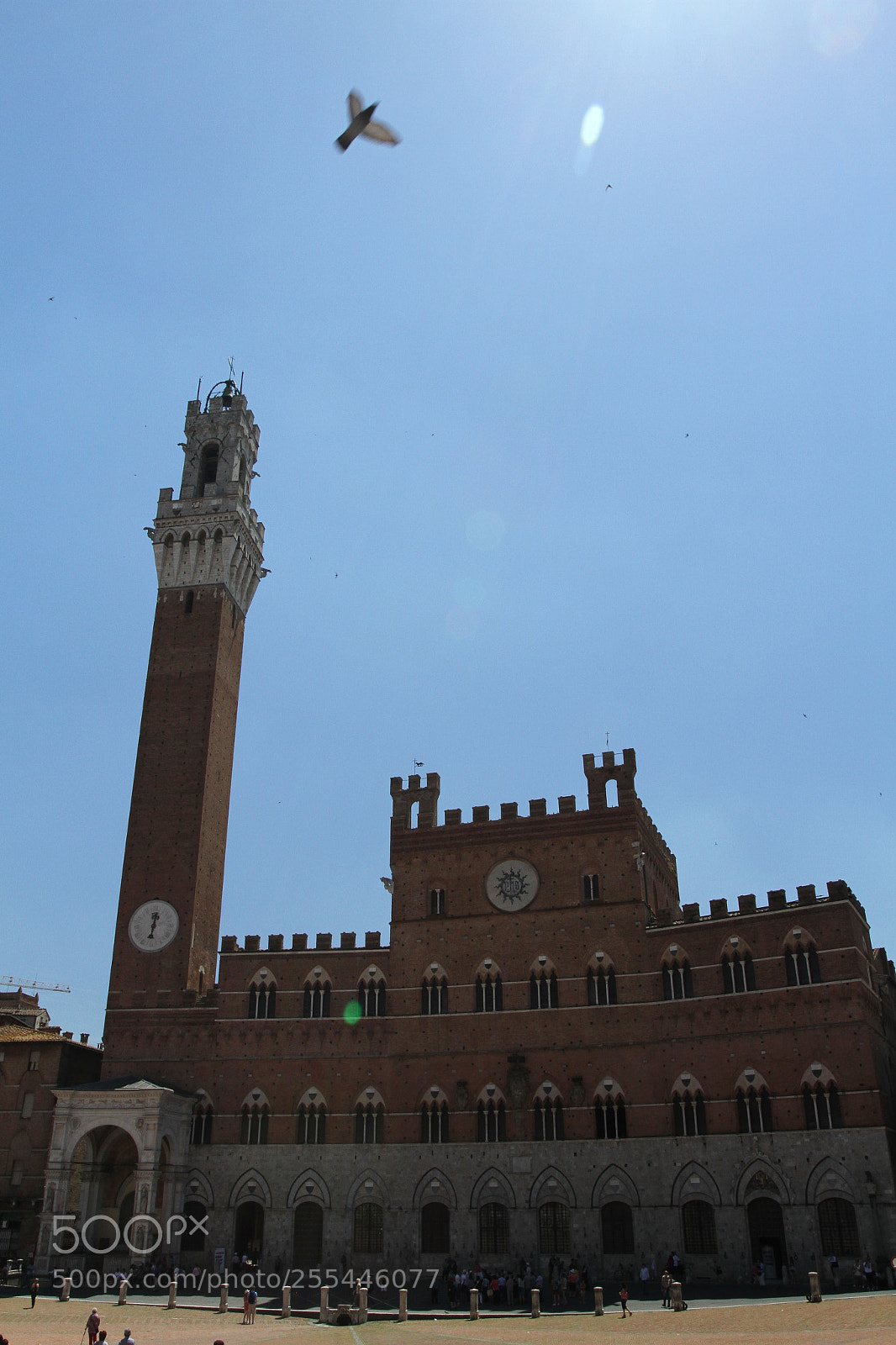 Canon EOS 7D sample photo. Tuscany june o photography