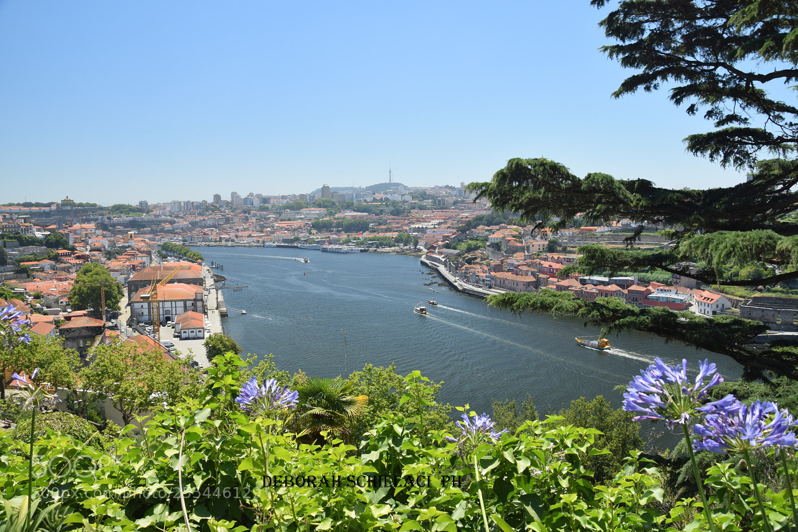Nikon D3300 sample photo. Porto miraduro photography