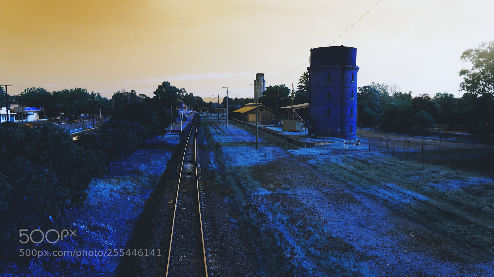 Sony Alpha a3500 sample photo. On a planet no photography