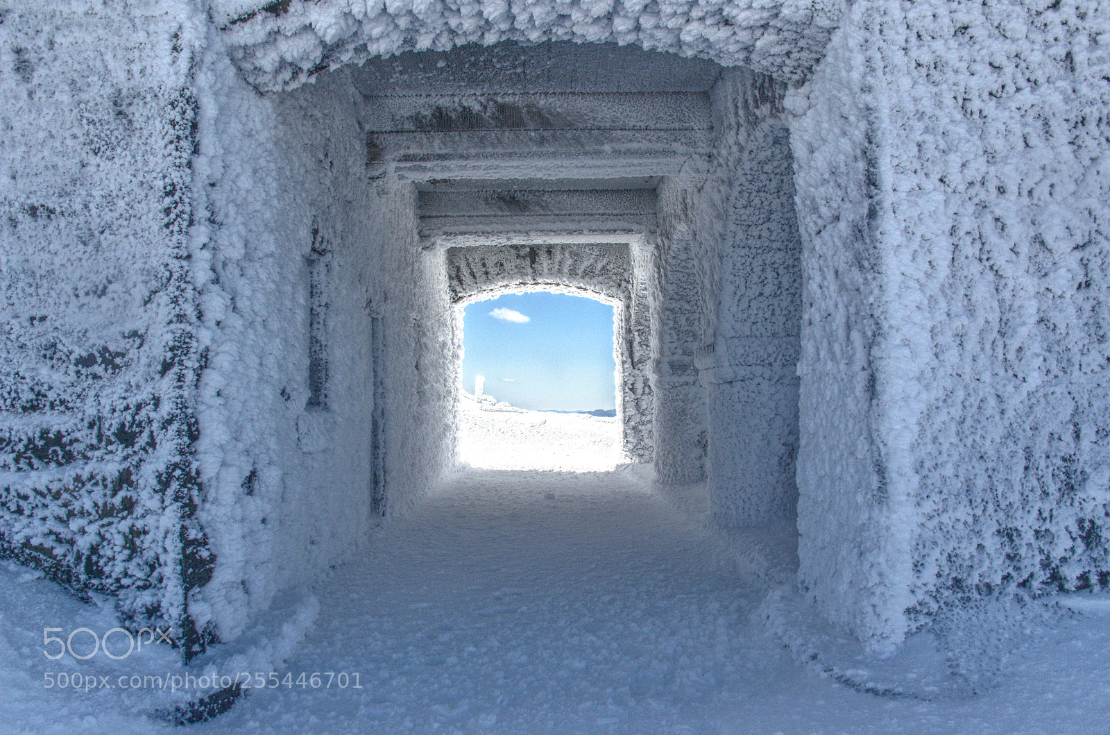 Nikon D7000 sample photo. Heaven photography