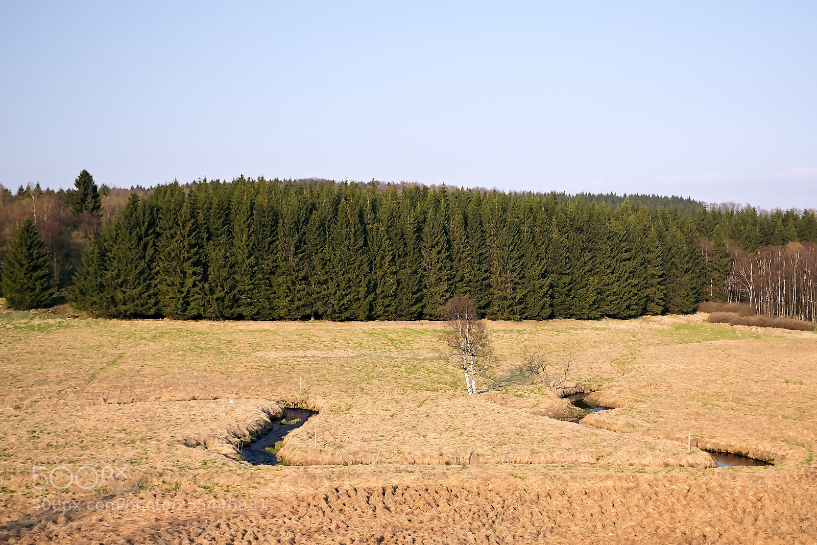 Nikon D5300 sample photo. Spring landscape of ore photography