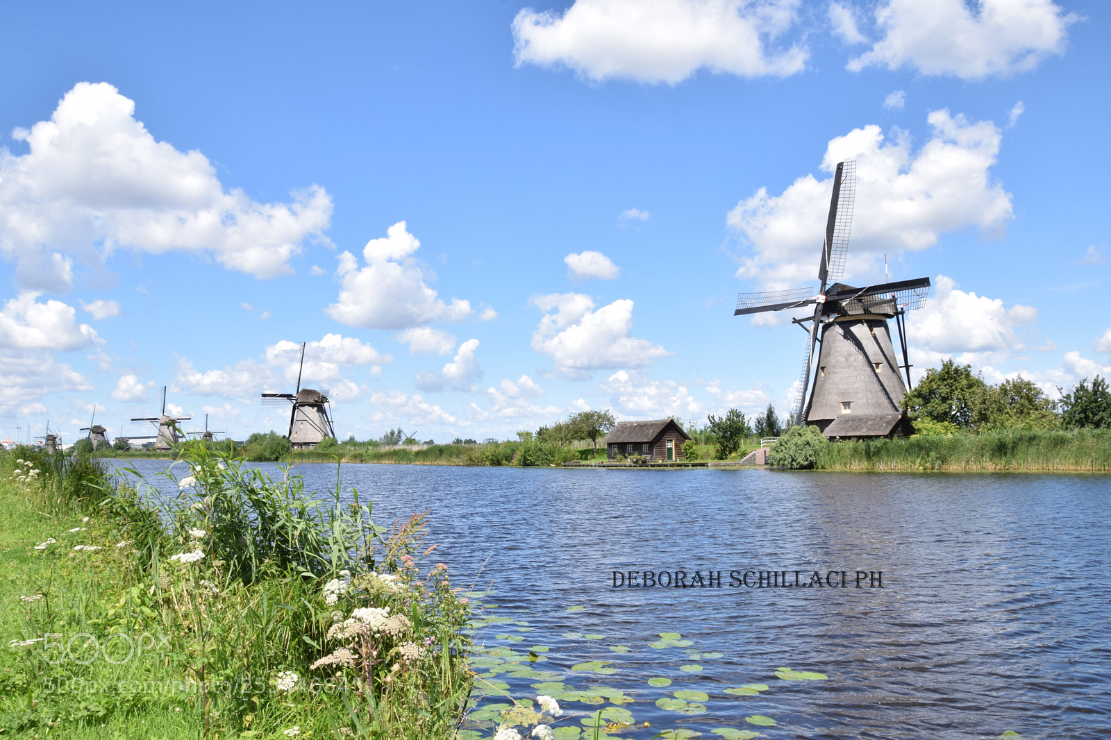 Nikon D3300 sample photo. Kinderdijk photography