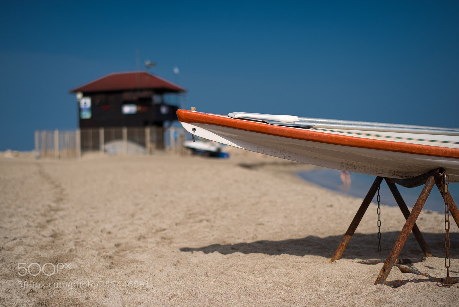 Nikon D810 sample photo. Beach photography