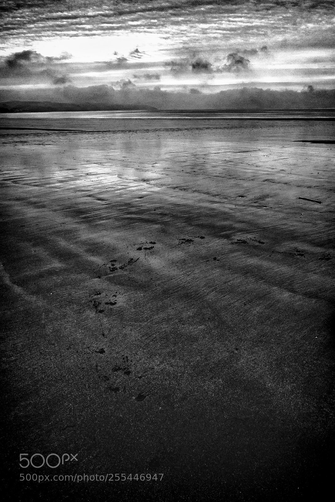 Leica D-Lux (Typ 109) sample photo. Walking on water photography