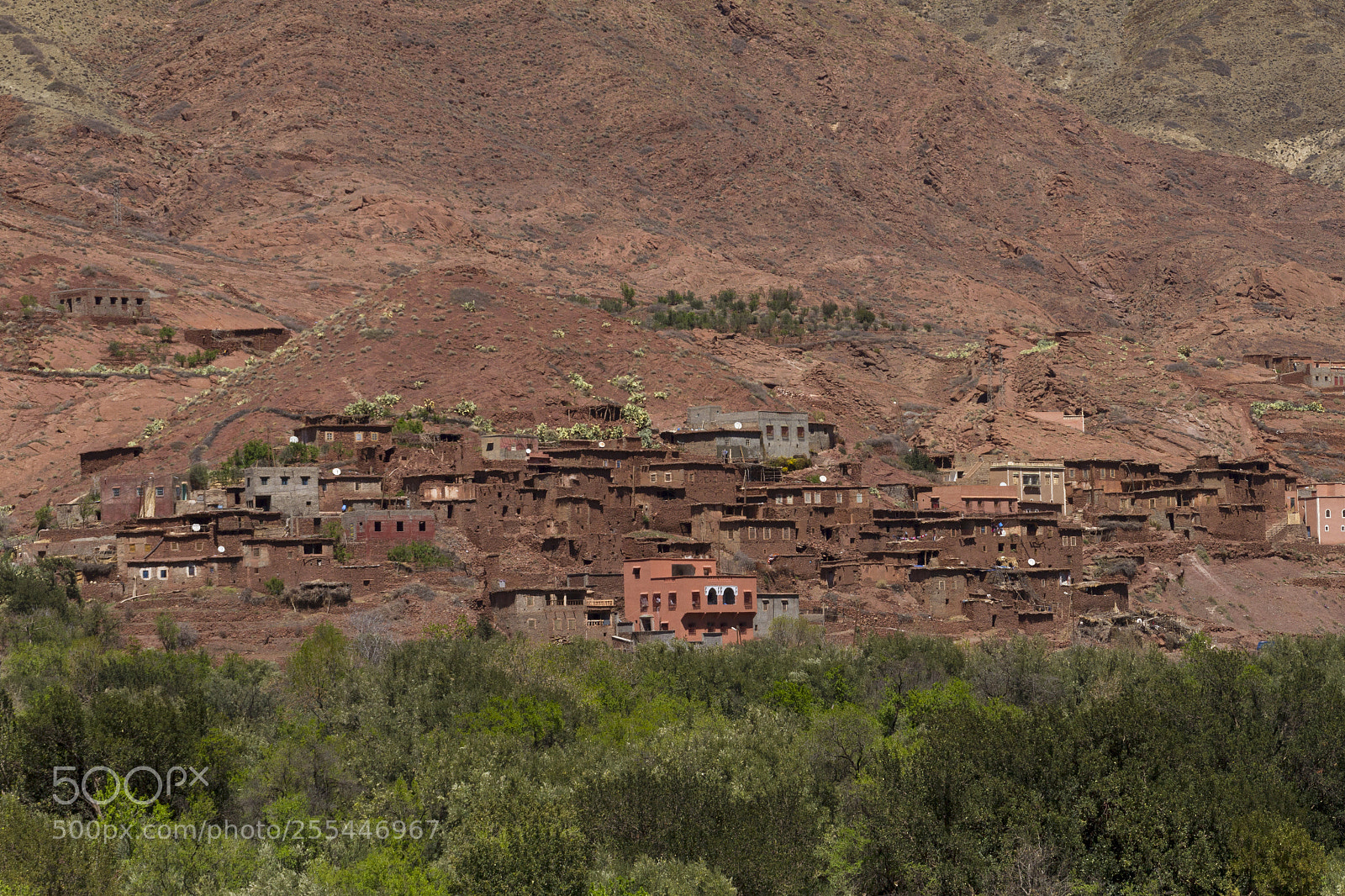 Canon EOS 7D sample photo. 2018-3783.jpg photography