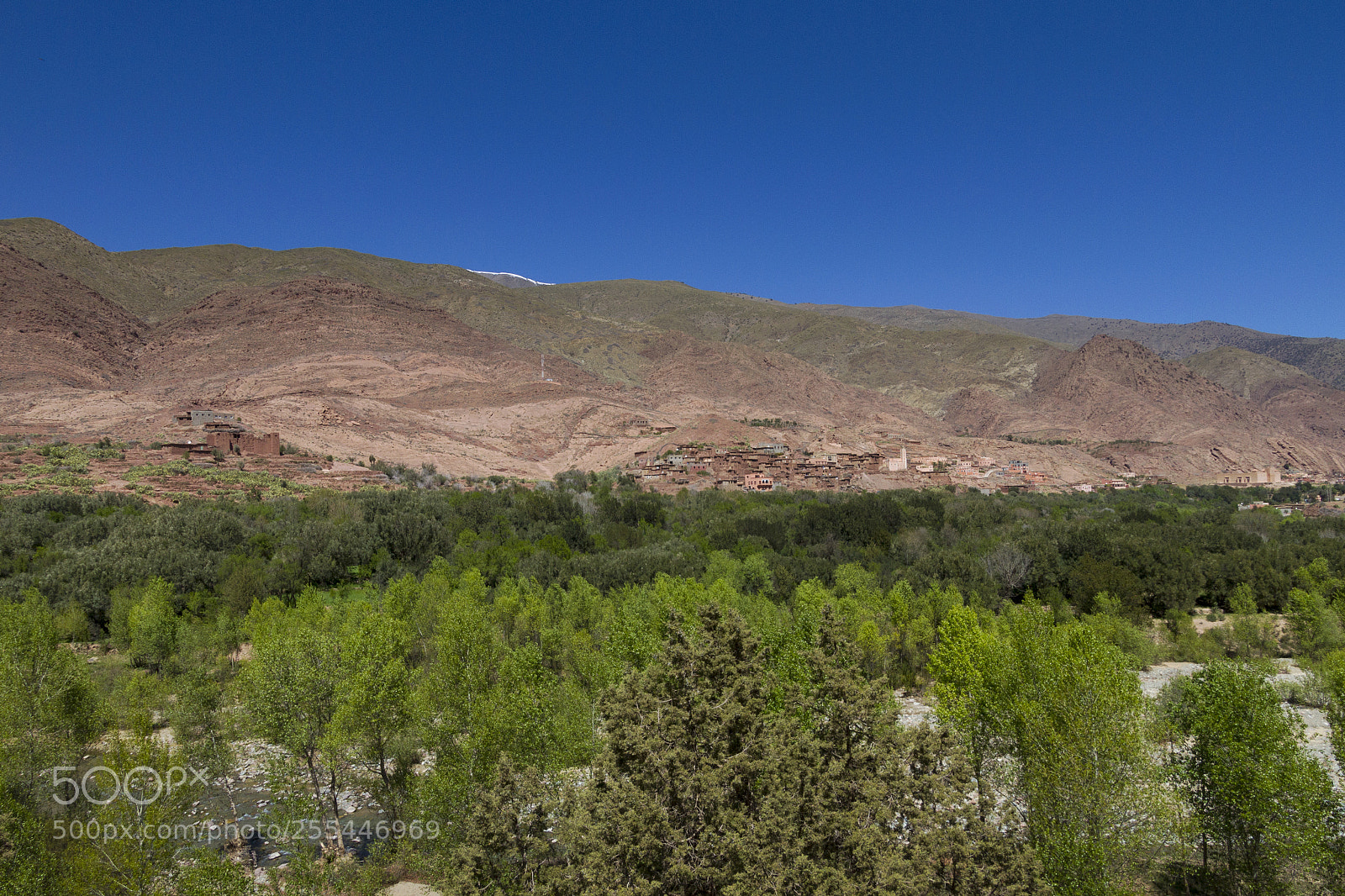 Canon EOS 7D sample photo. 2018-3782.jpg photography
