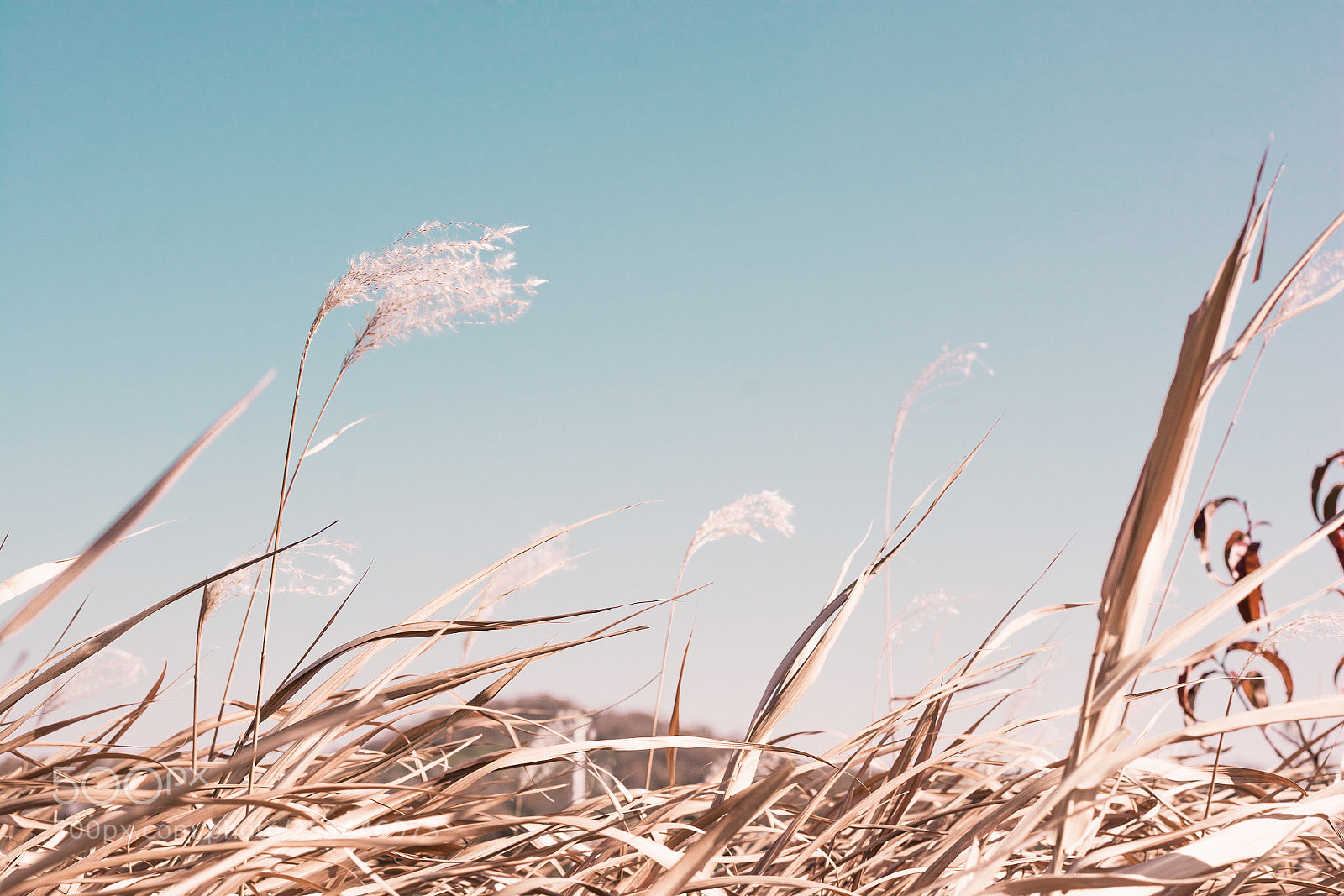 Nikon D7100 sample photo. Windy nature photography