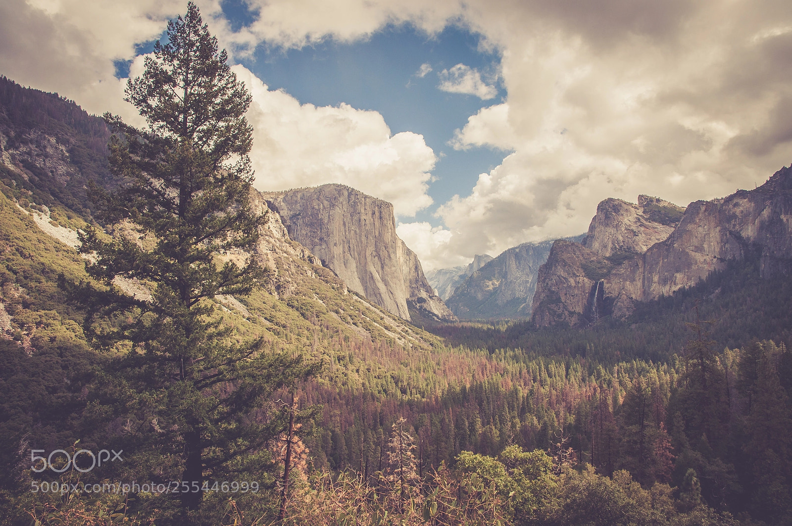 Nikon D90 sample photo. Tunnel view, yosemite national photography