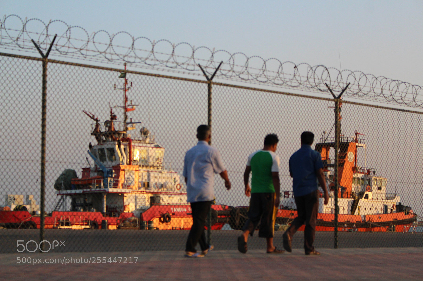 Canon EOS 700D (EOS Rebel T5i / EOS Kiss X7i) sample photo. Img photography