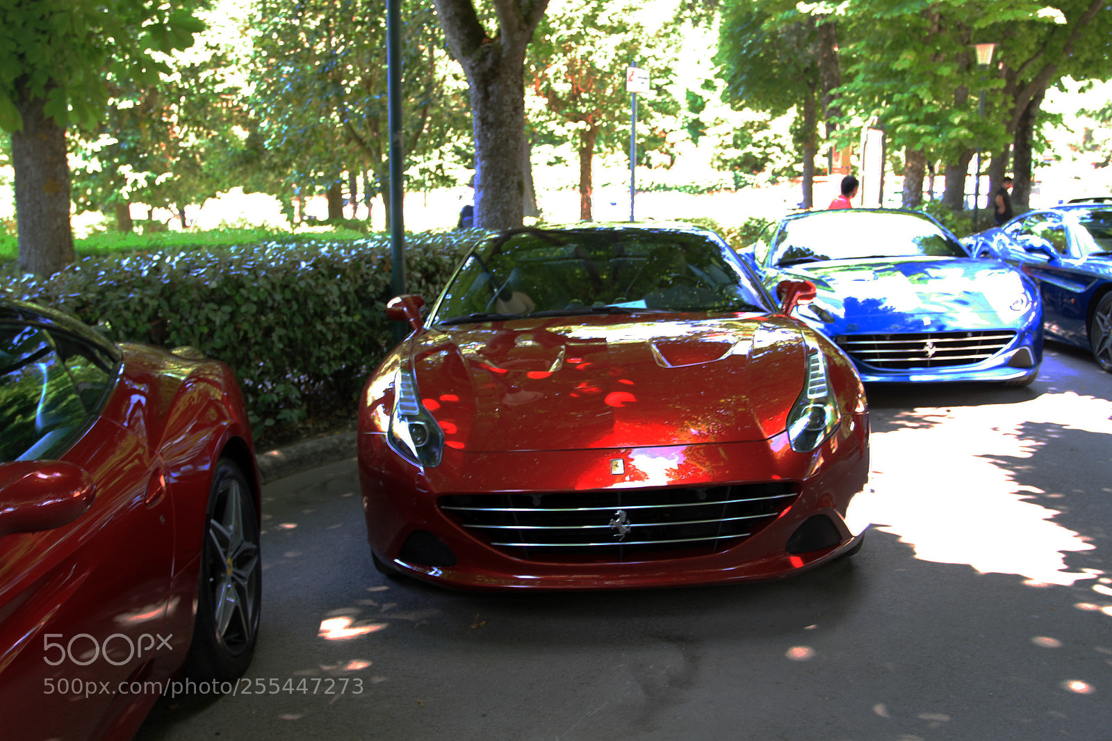 Canon EOS 7D sample photo. Trip to tuscany, italy photography