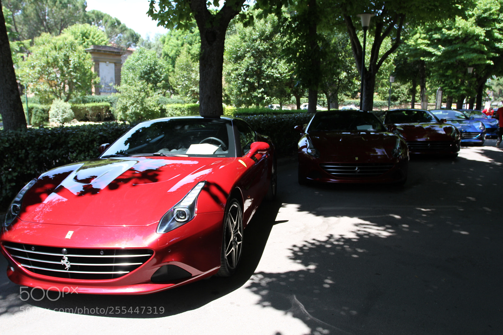 Canon EOS 7D sample photo. Trip to tuscany, italy photography