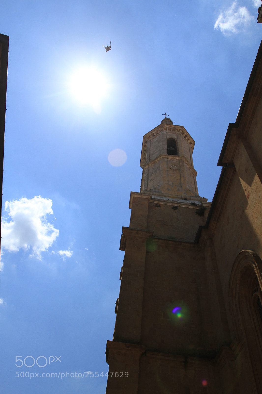 Canon EOS 7D sample photo. Trip to tuscany, italy photography