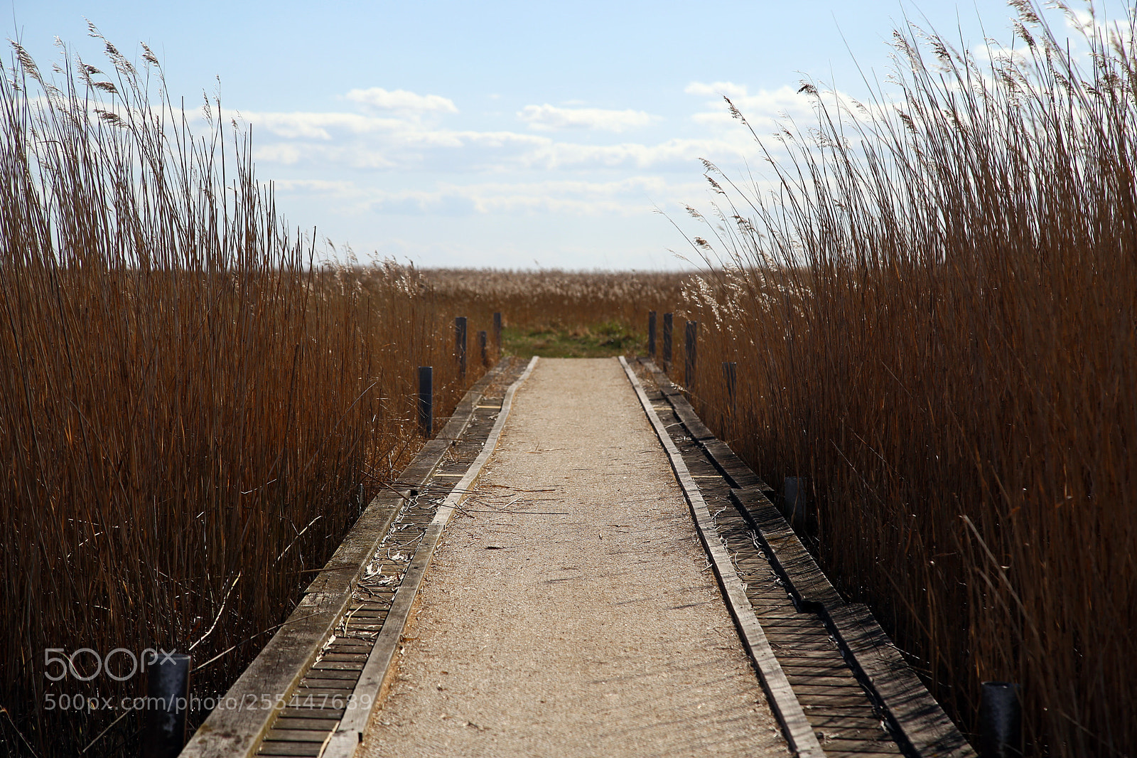 Canon EOS 6D sample photo. Liberty path, dragor escape photography