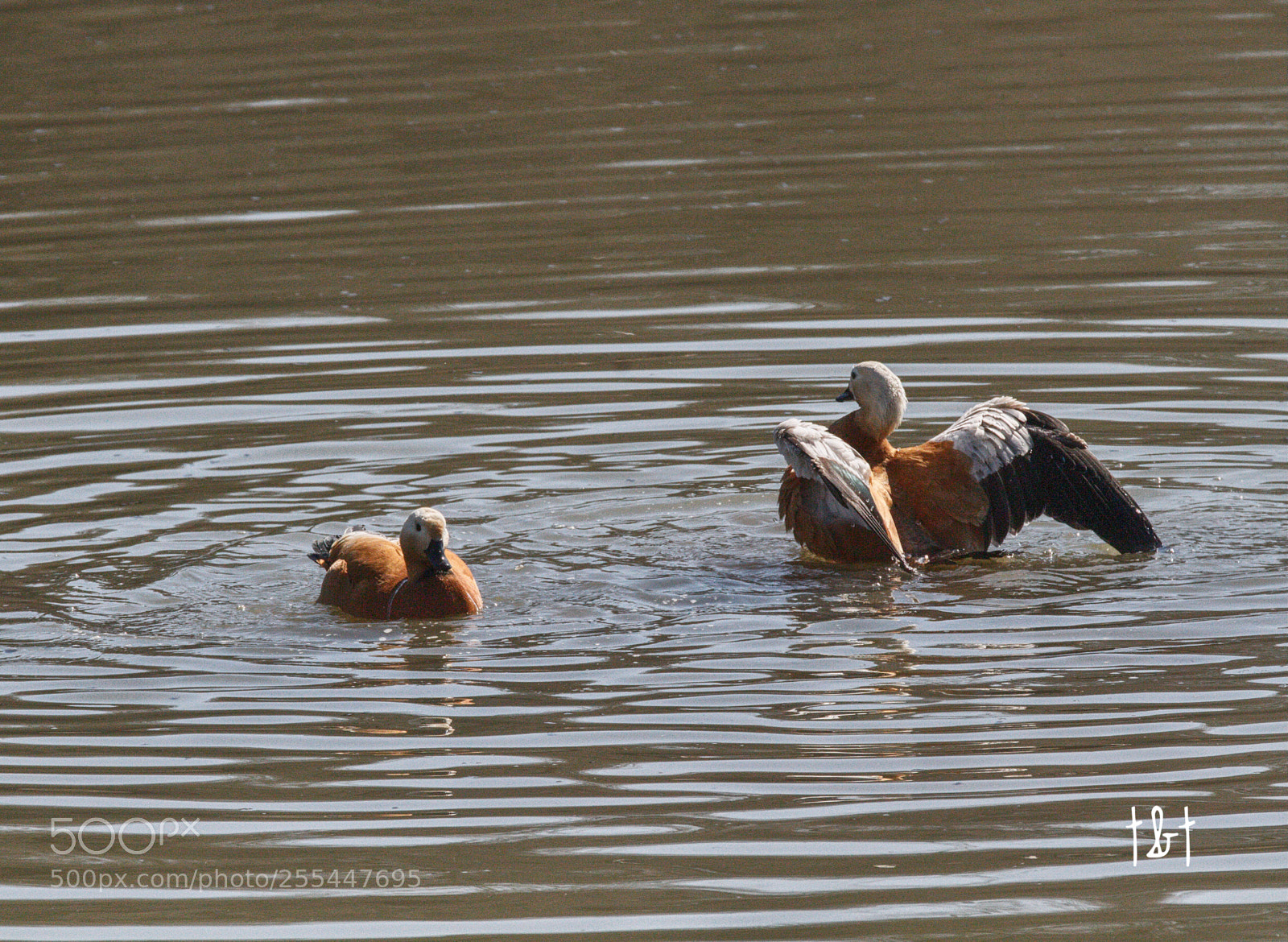 Canon EOS 7D sample photo. Untitled photography