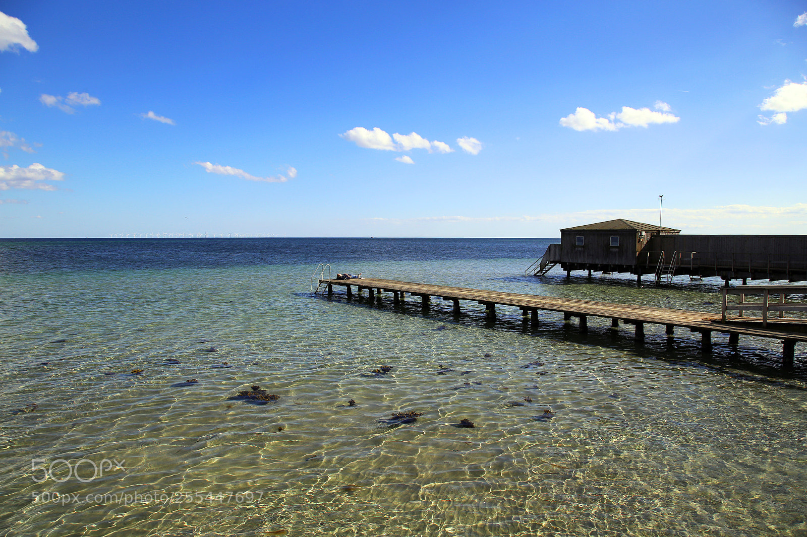 Canon EOS 6D sample photo. Swimming time, dragor escape photography