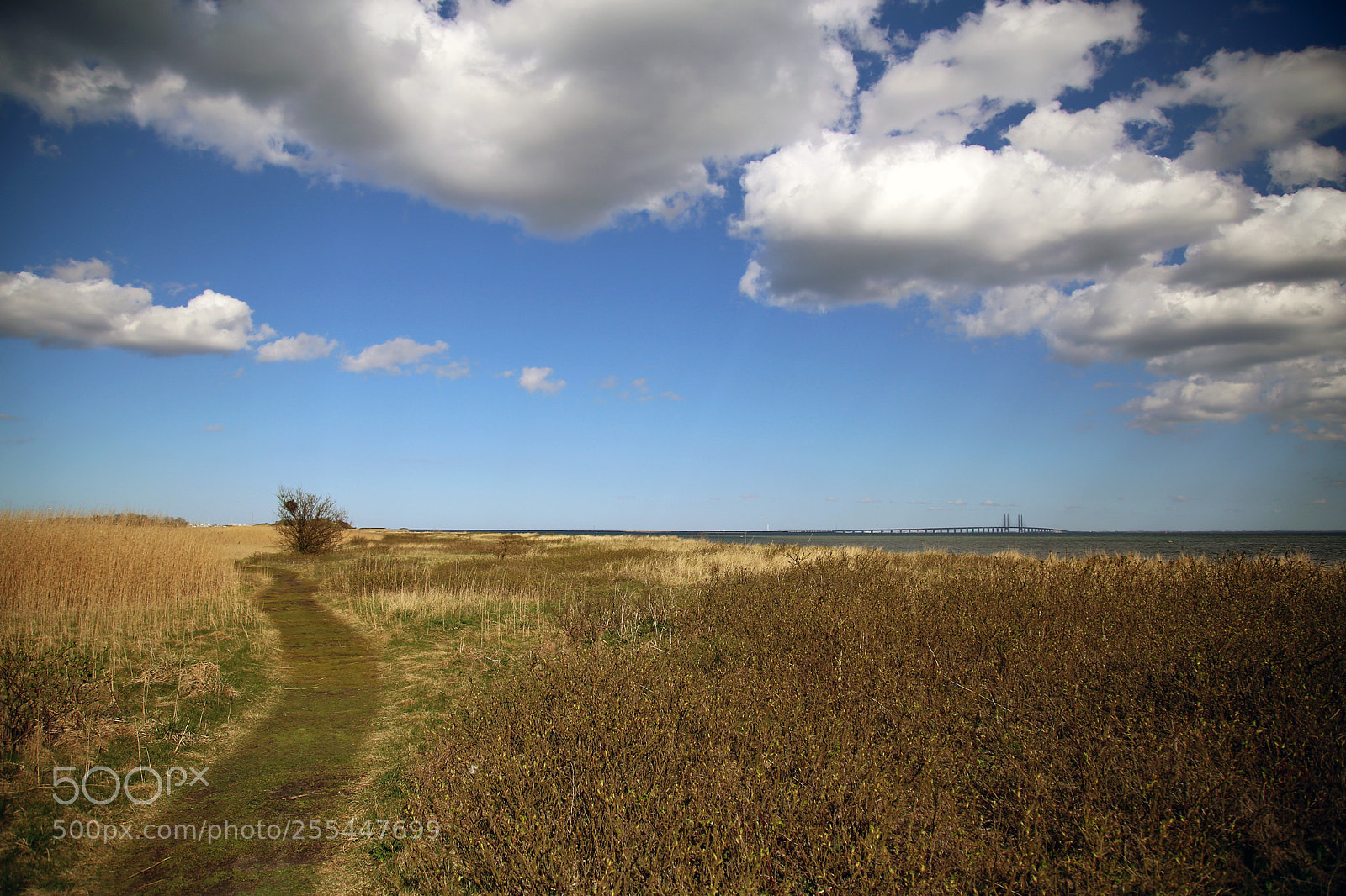 Canon EOS 6D sample photo. Danish nature, dragor escape photography