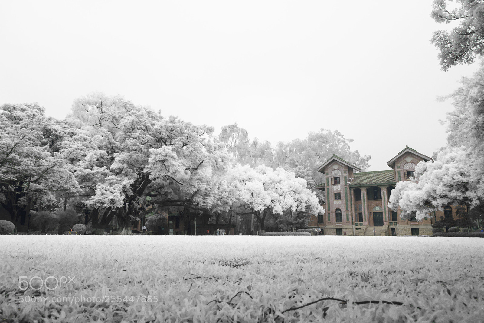 Nikon D5300 sample photo. When sysu gets stupid photography