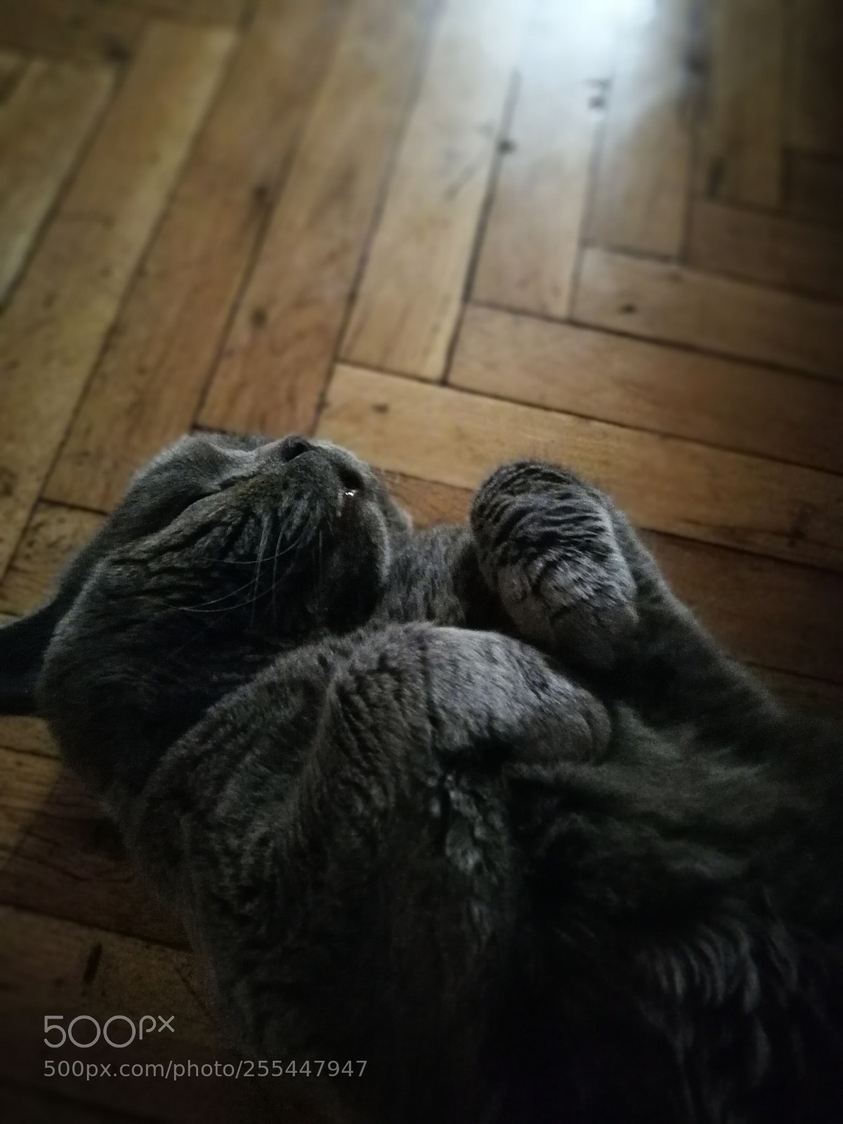 HUAWEI P10 sample photo. Untitled photography