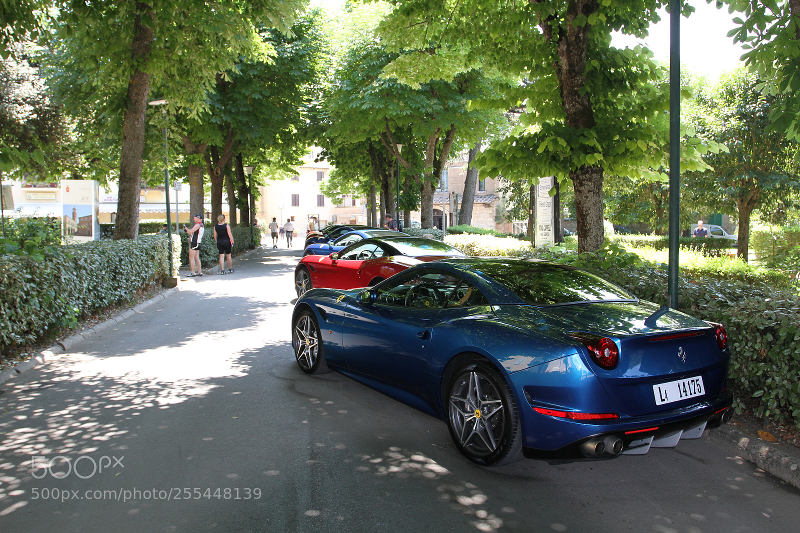 Canon EOS 7D sample photo. Trip to tuscany, italy photography