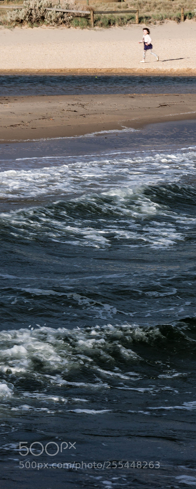Canon EOS 500D (EOS Rebel T1i / EOS Kiss X3) sample photo. The shoreline photography