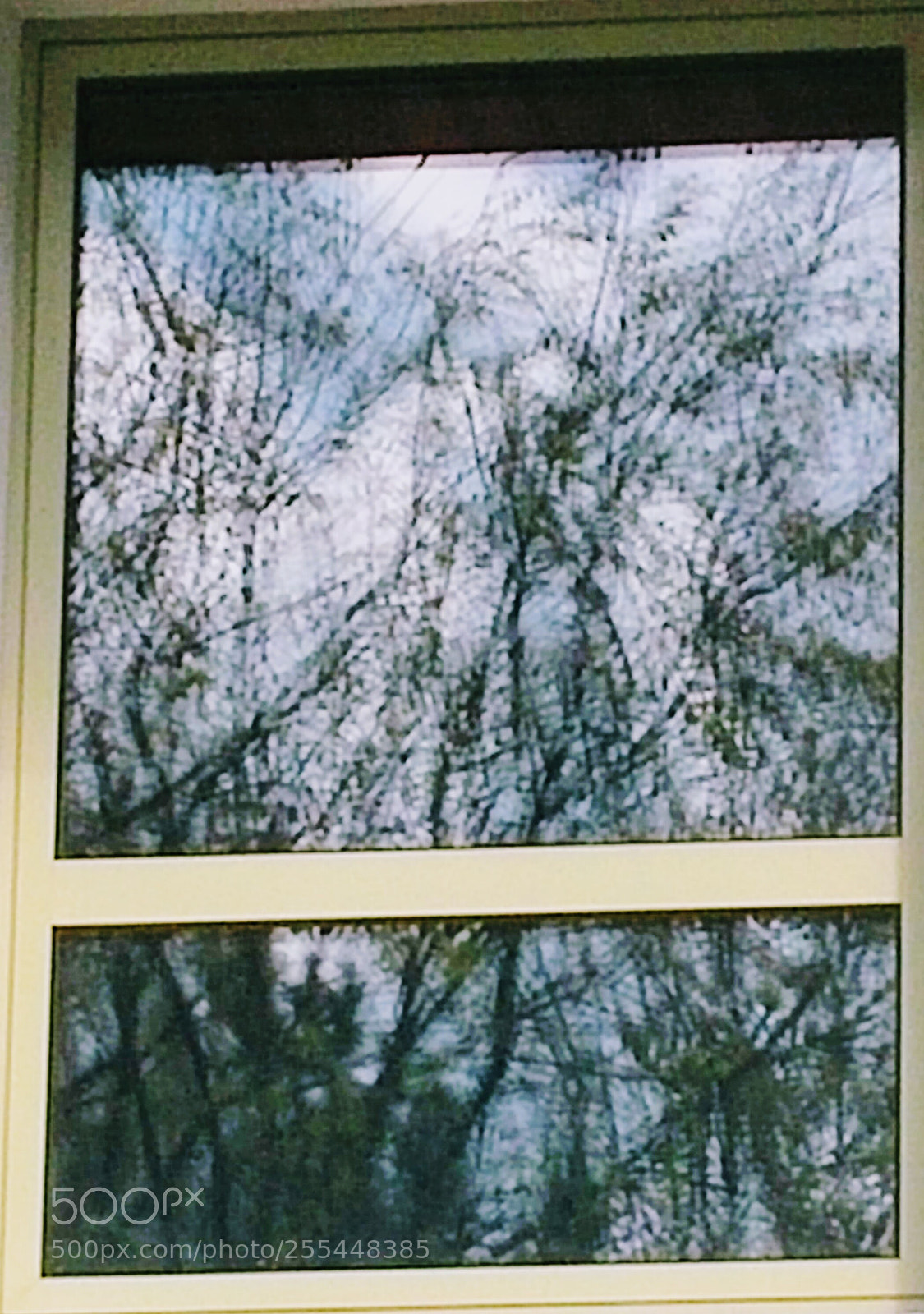 LG G3 sample photo. Reflection in the window photography