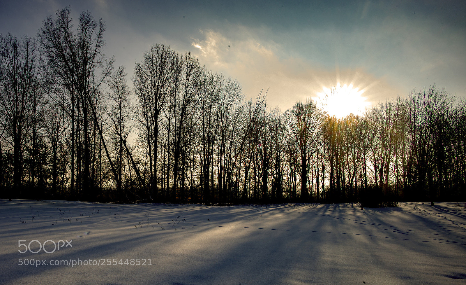 Leica M (Typ 240) sample photo. Adair sunset winter photography