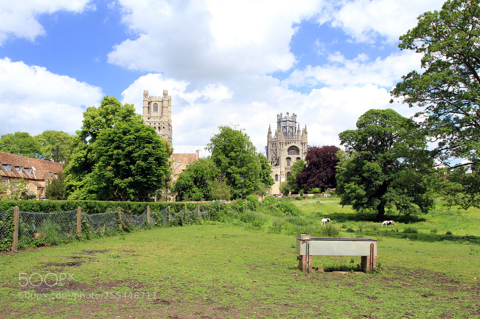 Canon EOS 7D sample photo. Ely cathedral cherry hill photography