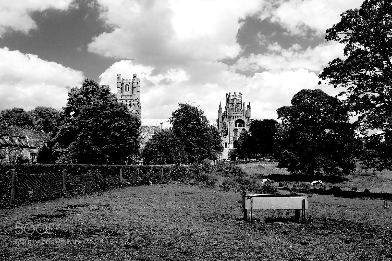 Canon EOS 7D sample photo. Ely cathedral cherry hill photography