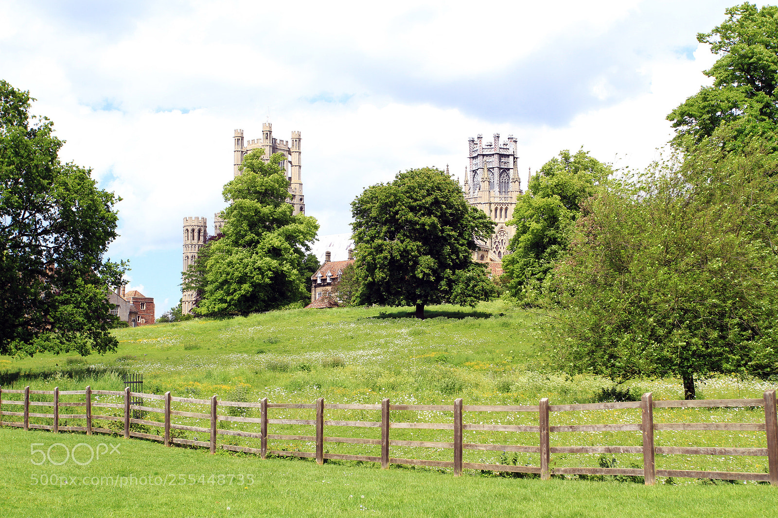 Canon EOS 7D sample photo. Ely cathedral cherry hill photography