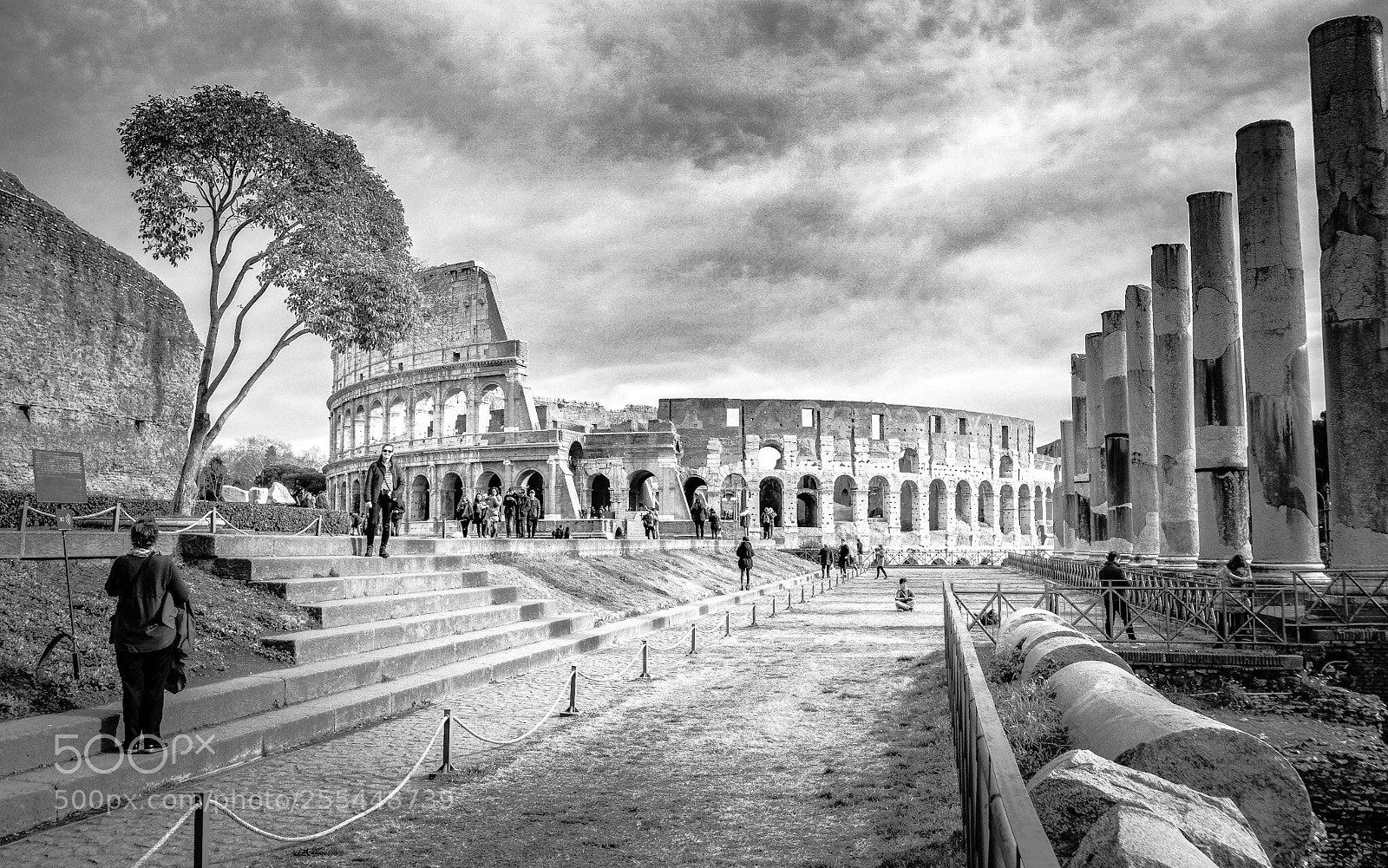 Sony a6500 sample photo. The colosseum   photography