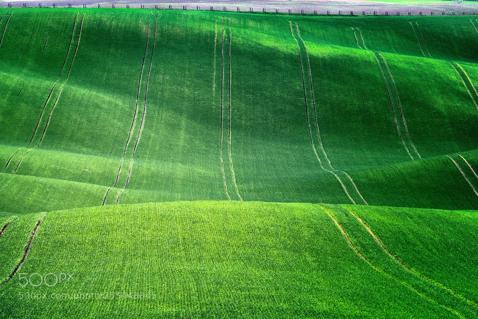 Pentax K-1 sample photo. Green waves photography