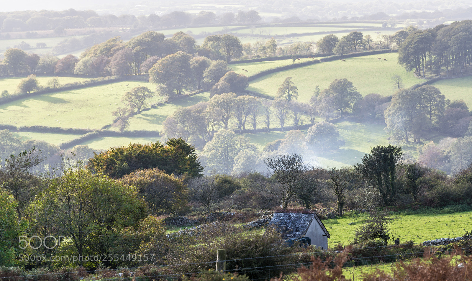 Nikon D610 sample photo. Overlooking the walkham valley photography