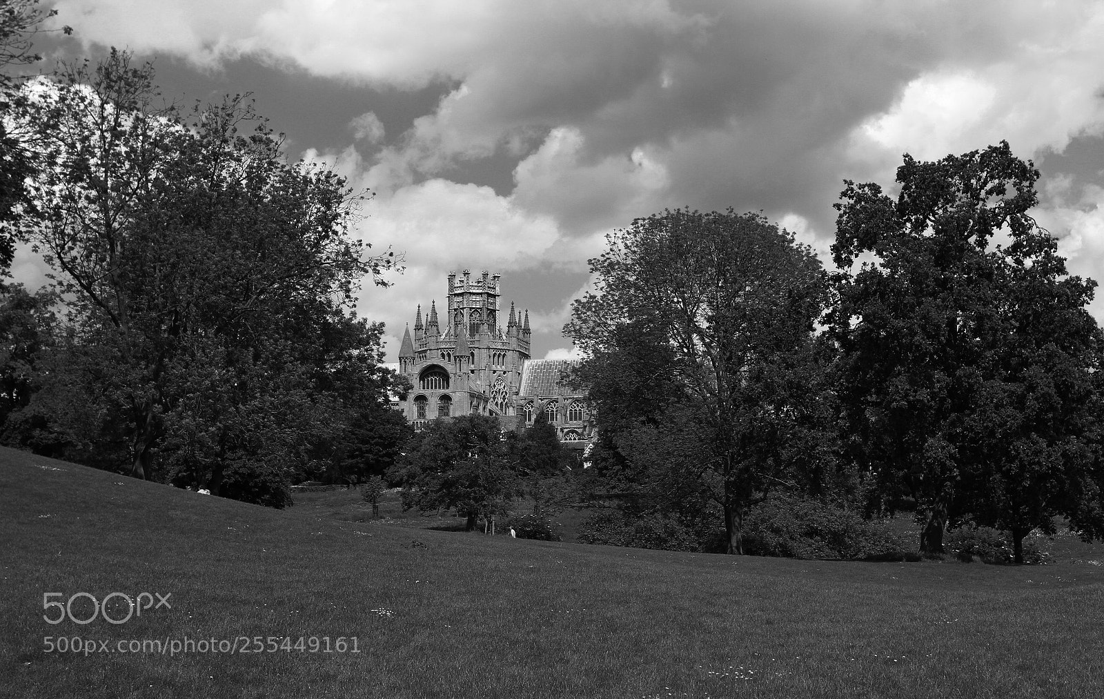 Canon EOS 7D sample photo. Ely french market bw photography