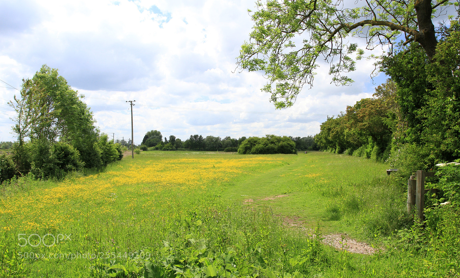 Canon EOS 7D sample photo. Fields by the river photography